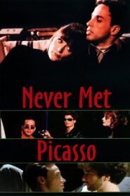 Never Met Picasso 1996 on netflix
