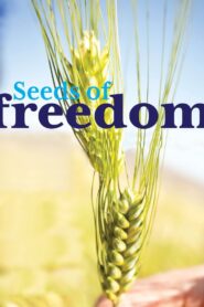 Seeds of Freedom 2012 on netflix
