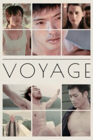 Voyage 2013 on netflix
