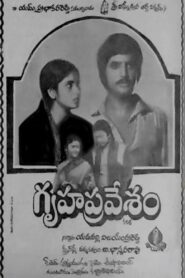 Gruhapravesam 1982 on netflix