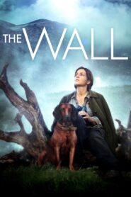 The Wall 2012 on netflix
