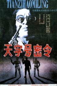 天字号密令 1990 on netflix