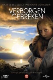 Hidden Flaws 2004 on netflix