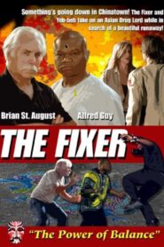 The Fixer 2011 on netflix