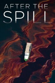 After the Spill 2015 on netflix