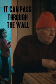 It Can Pass Through the Wall 2014 on netflix