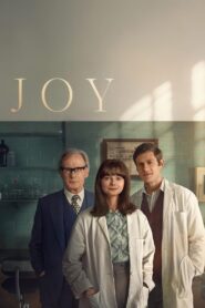 Joy 2024 on netflix