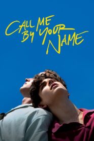 Call Me by Your Name 2017 on netflix
