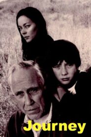 Journey 1995 on netflix