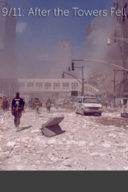 9/11: After The Towers Fell 2010 on netflix
