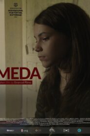 Meda 2016 on netflix