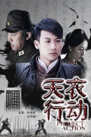 天衣行动 2011 on netflix