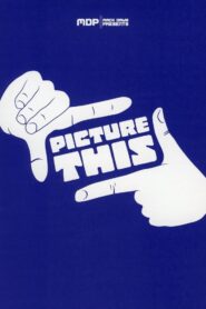 Picture This 2007 on netflix