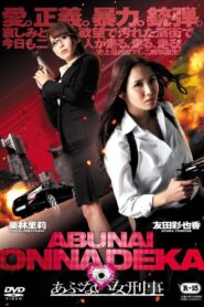 Dangerous Woman Detective 2013 on netflix