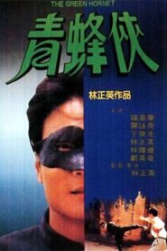 The Green Hornet 1994 on netflix