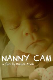 Nanny Cam 2017 on netflix