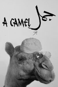 A Camel 1981 on netflix