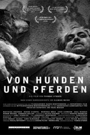 Of Dogs and Horses 2012 on netflix