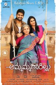 Ammammagarillu 2018 on netflix