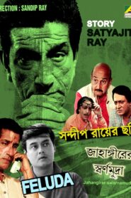 Jahangirer Swarnamudra 1998 on netflix
