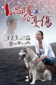 Wen Nuan De You Shang 2011 on netflix
