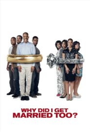 Why Did I Get Married Too? 2010 on netflix