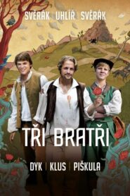 Three Brothers 2014 on netflix