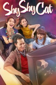 Shy Shy Cat 2016 on netflix