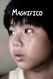 Magnifico 2003 on netflix