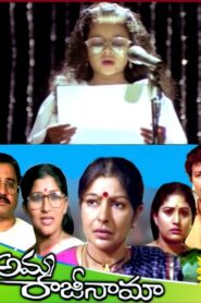 Amma Rajinama 1991 on netflix