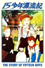 The Story of Fifteen Boys 1987 on netflix