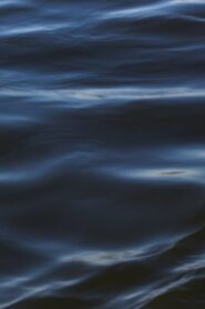 The Flood 2021 on netflix