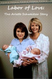 Labor of Love: The Arlette Schweitzer Story 1993 on netflix
