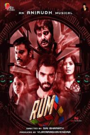 Rum 2017 on netflix