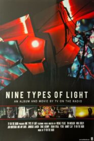 Nine Types of Light 2011 on netflix