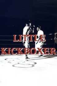 Little Kickboxer 1991 on netflix