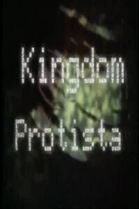 Kingdom Protista 2000 on netflix