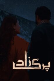 Parizaad 2022 on netflix