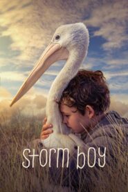 Storm Boy 2019 on netflix