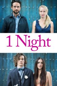 1 Night 2016 on netflix
