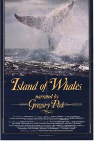 Island of Whales 1990 on netflix