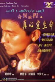 What a Wonderful World 1996 on netflix