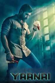 Yaanai 2022 on netflix