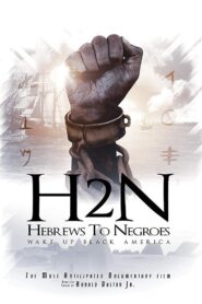 Hebrews to Negroes: Wake Up Black America 2018 on netflix