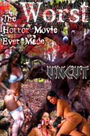 The Worst Horror Movie Ever Made: The Re-Make 2008 on netflix