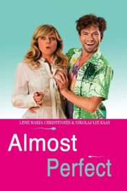 Almost Perfect 2012 on netflix