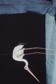 Unima-Festival 1985 on netflix