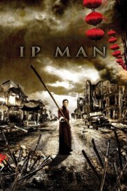 Ip Man 2008 on netflix