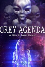 Grey Agenda 2017 on netflix