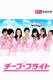 Cheap Flight!! 2013 on netflix